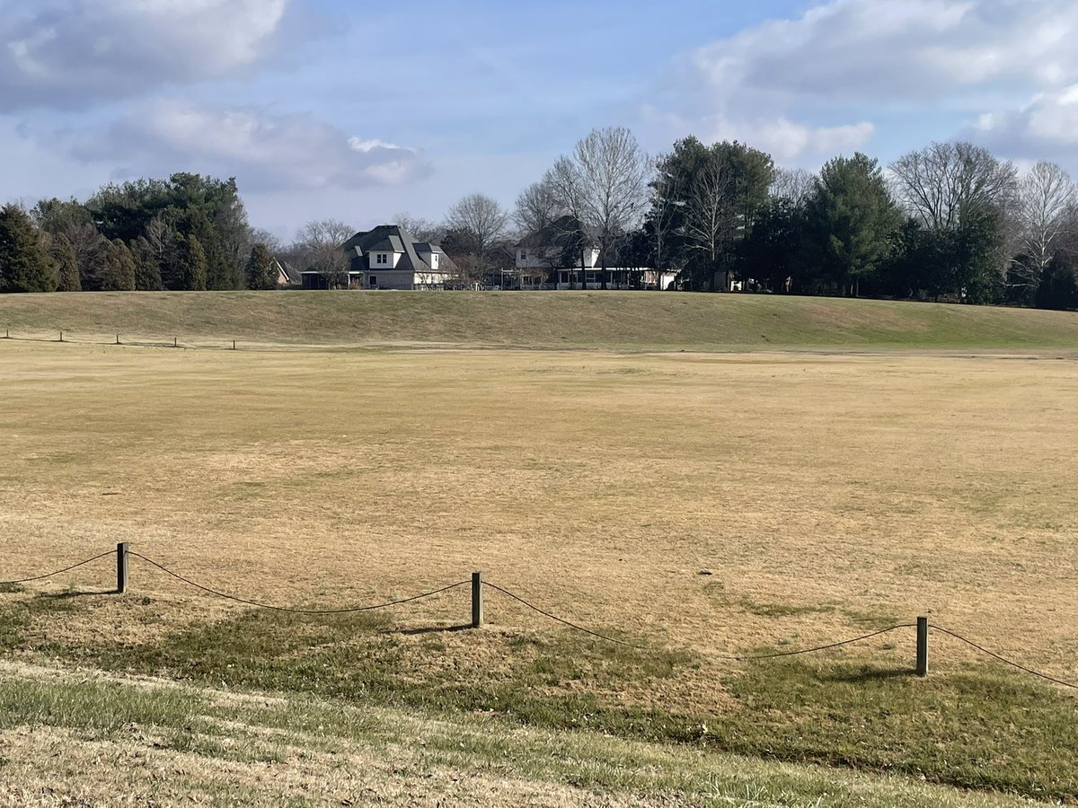 Trey Ondrus tweet media