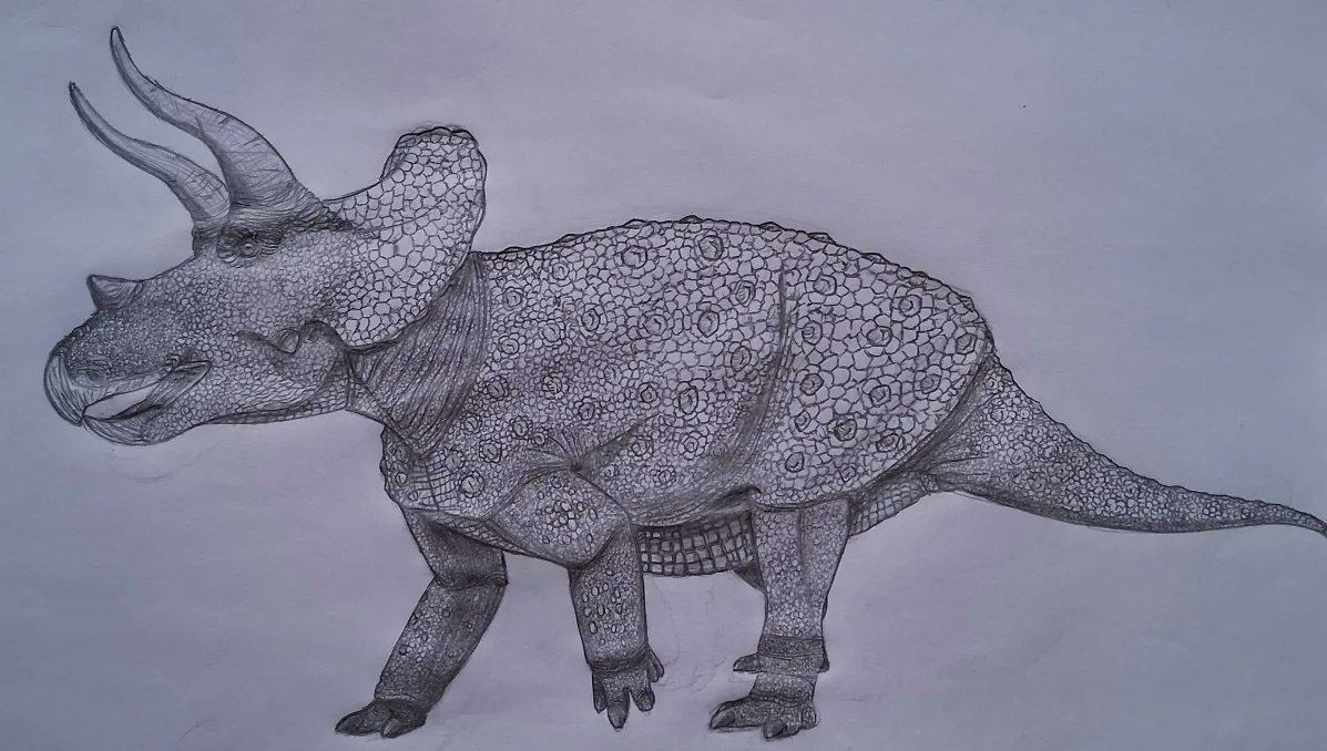 Triceratops Horridus