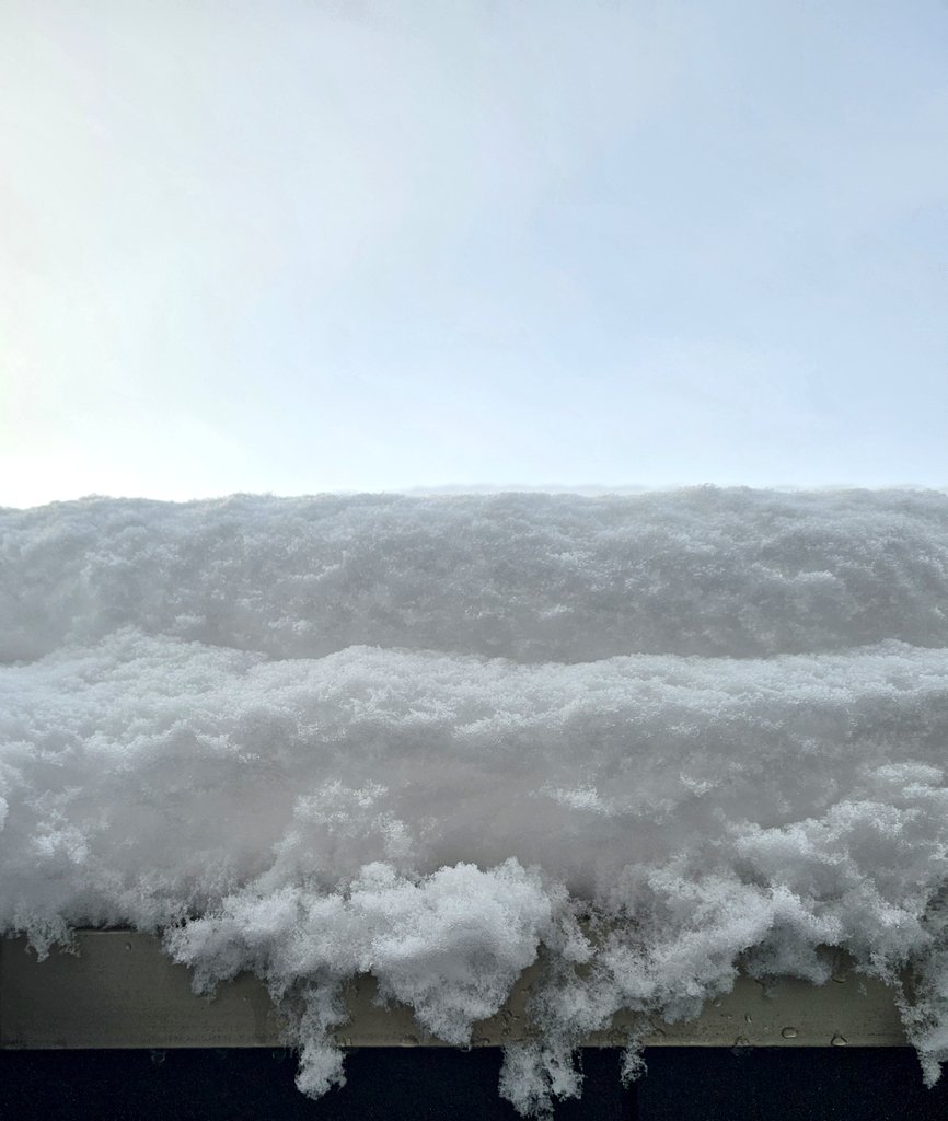おはようございます❄
まだ雪がチラついている岐阜です
朝から雪かきして
今日のミッション達成した気分になってます😇

 #手の感覚がまだ戻ってきてないんだ
 #キーボード打つの必死
 #企業公式が毎朝地元の天気を言い合う 
 #企業公式冬のフォロー祭り 
 #企業公式相互フォロー祭り