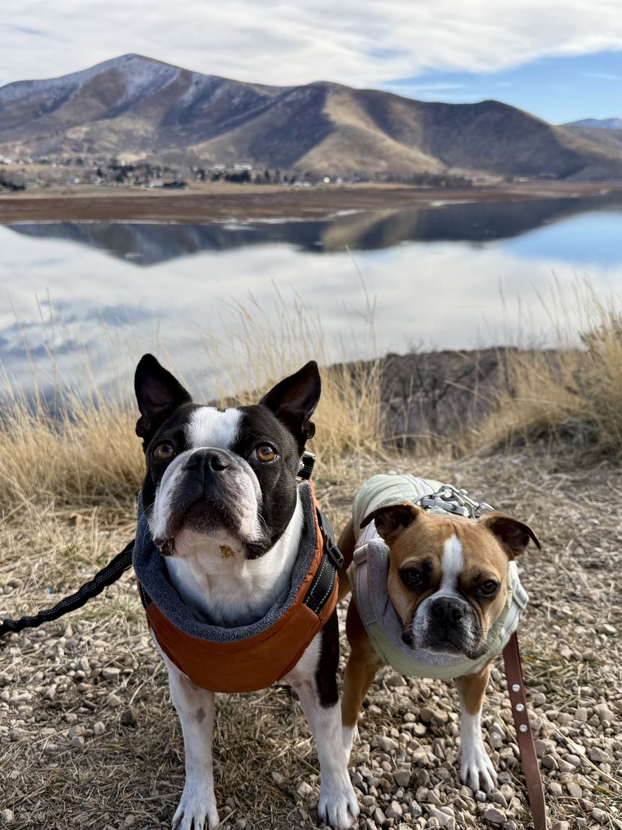 Craig Haden tweet media