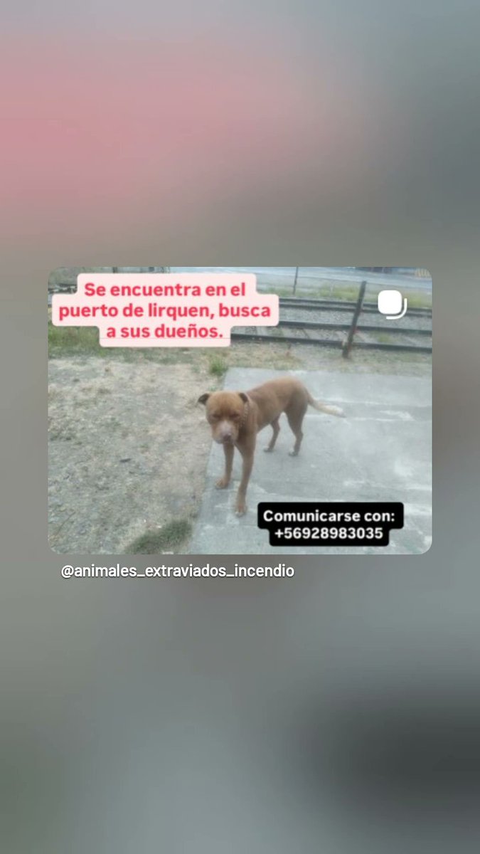 Porfavor ayuda este bebé está muy asustado 😭