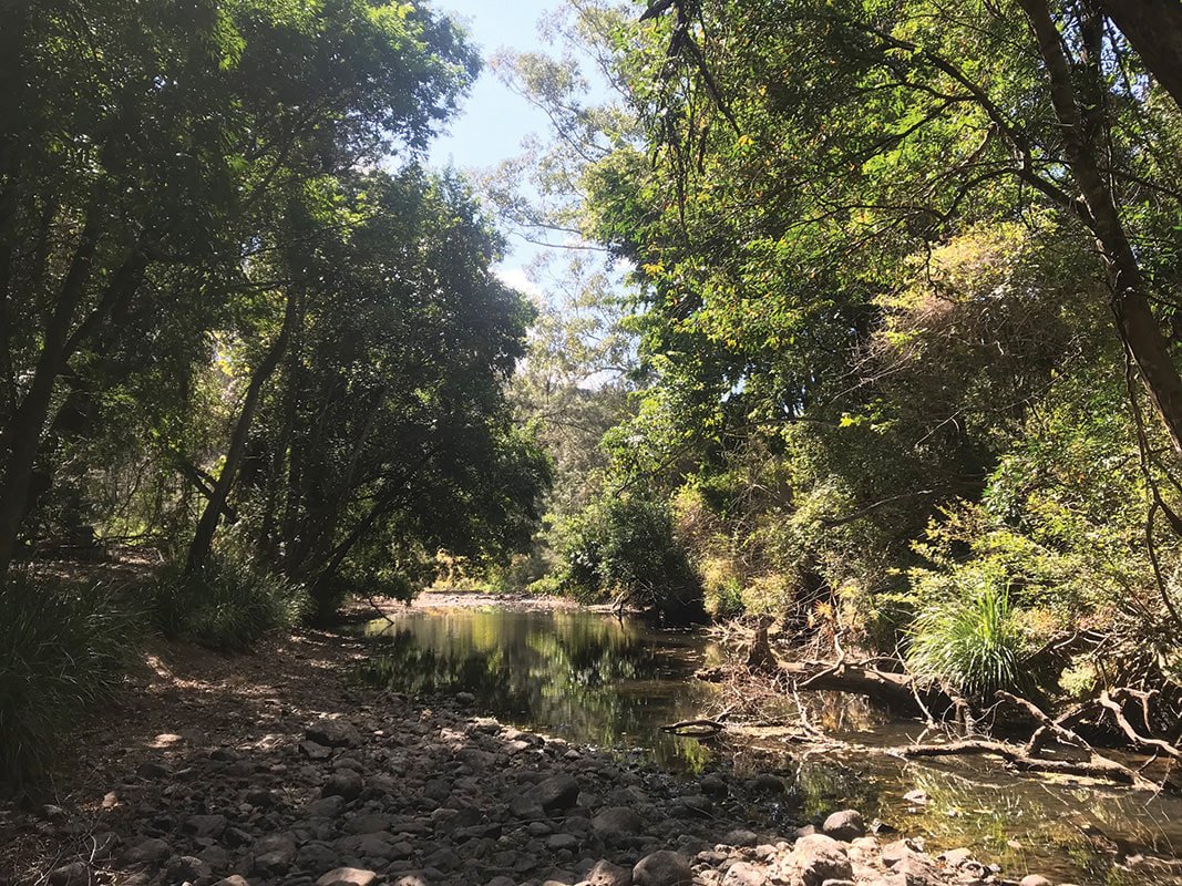 The stunning Cedar Creek at Douglas Franklin Reserve, Closeburn. lfwseq.org.au/community-driv…                                                                                                                                          Reporting pollution: