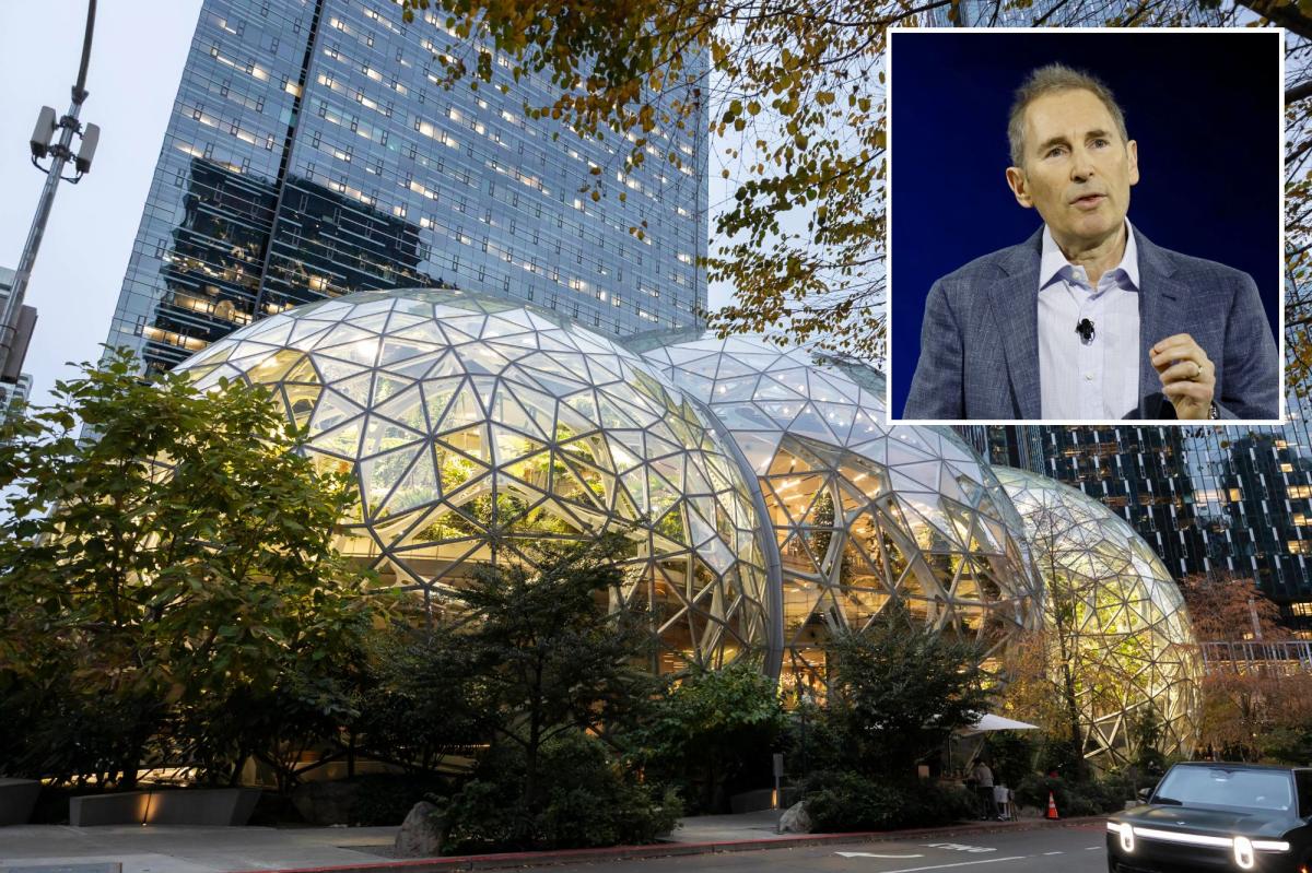 Amazon planning thousands of job cuts next week after axing 14,000 due to AI: report trib.al/3CL0c88