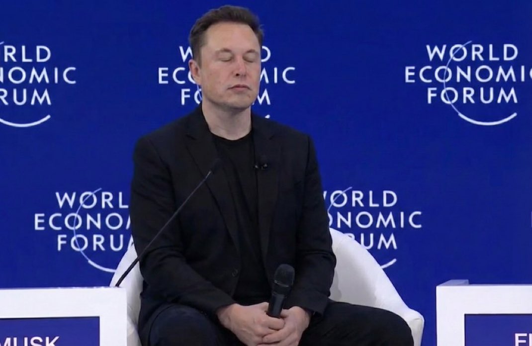 DreamLeaf 🌱🌻 🍉 tweet media