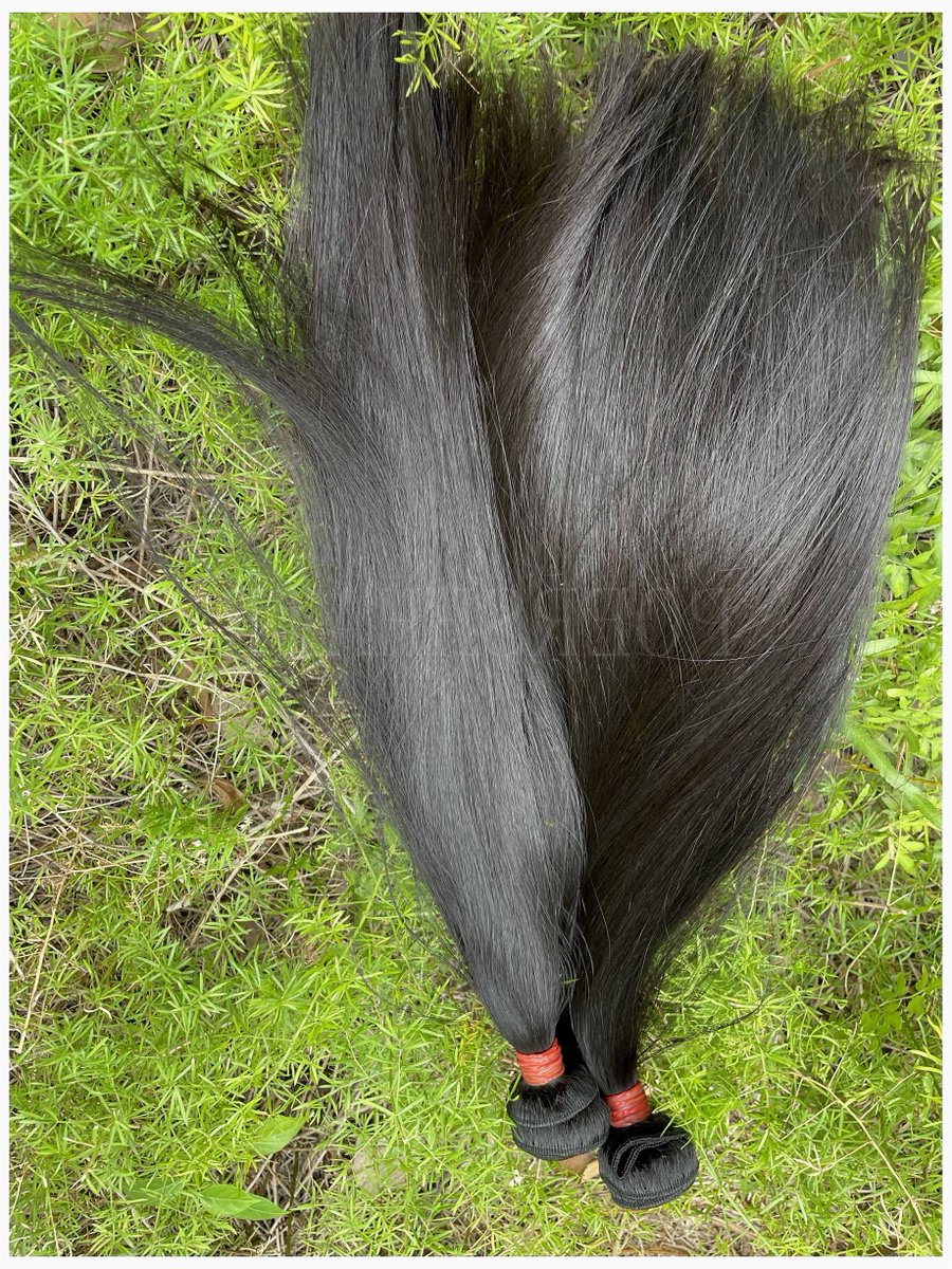 melissa_0913's tweet photo. Hello ⛅😄 Tell you a method to have more clienteles 🗼 😏 to wholesale Top rank raw virgin and donor human poershhair 🌹👍 contact me 👍🏼 You will never be dissatisfied. 📲whatsapp < +86❽❻❶❸❽❷❻⓿❶❽❸❾⓿  📬yali@poersh.com https://t.co/aregOIAwPG