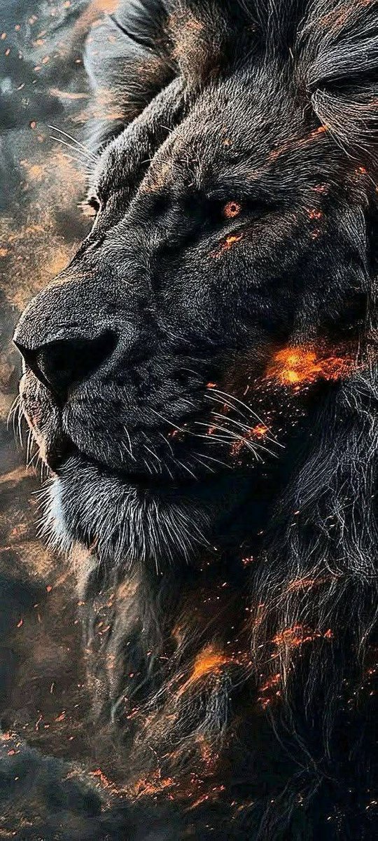 chima49747's tweet image. 