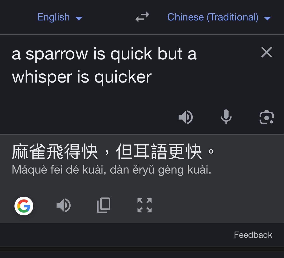 don 🌸 tweet media