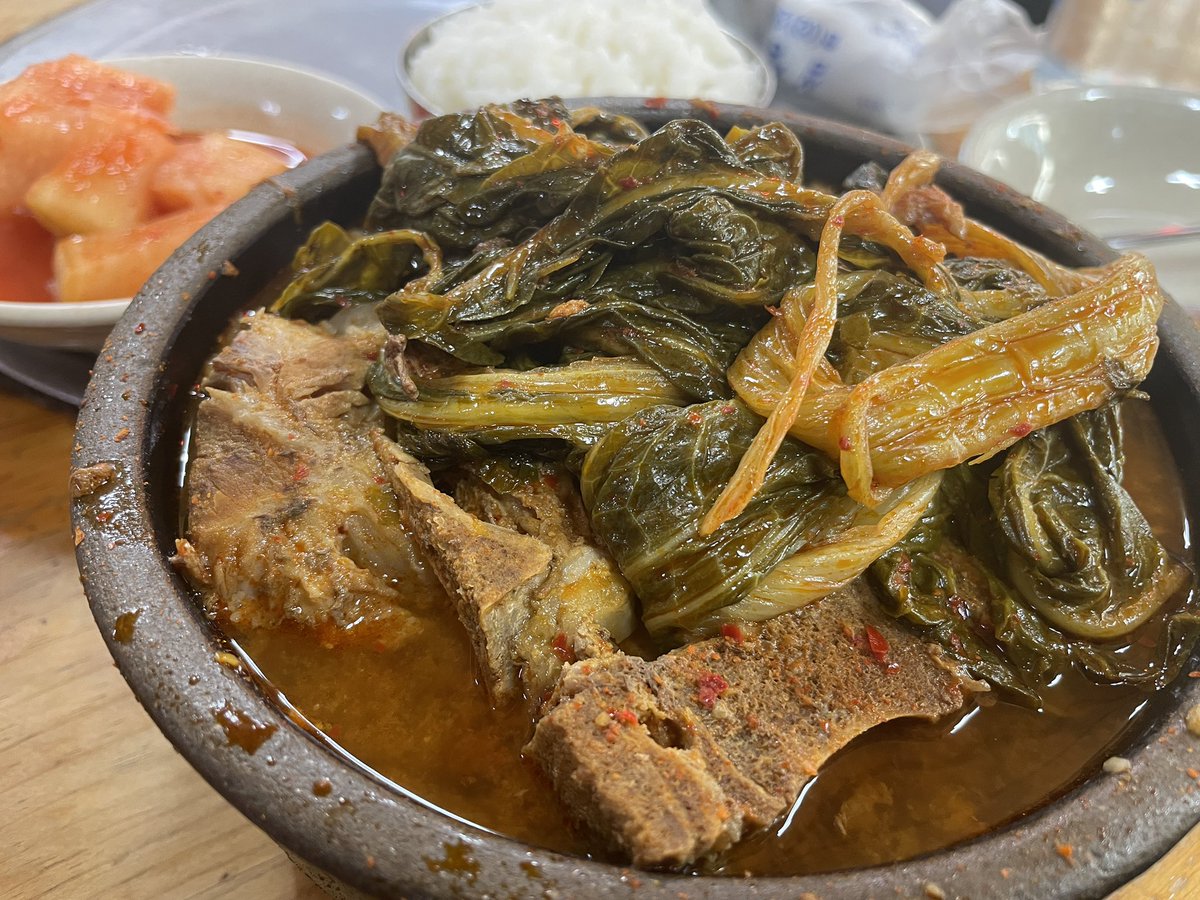 조미정 MJ Cho tweet media