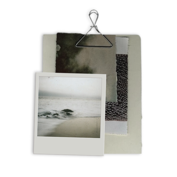 𝒃𝒂𝒉𝒊𝒂𝒏𝒂 tweet media