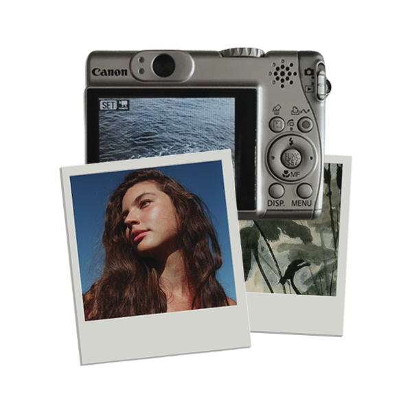 𝒃𝒂𝒉𝒊𝒂𝒏𝒂 tweet media