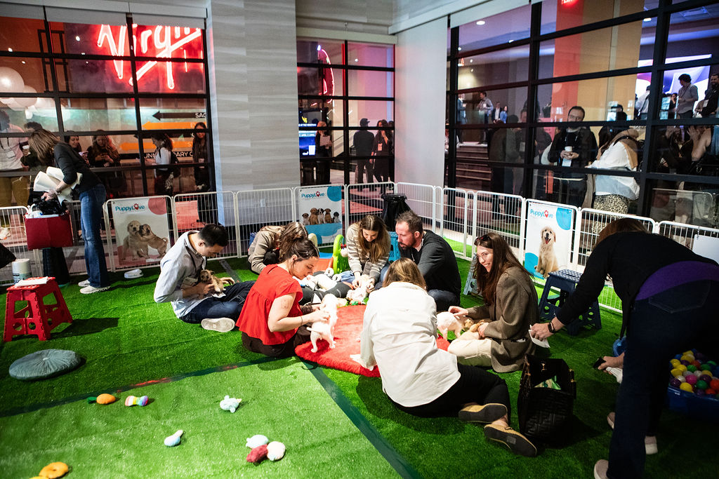 Tifenn Dano Kwan tweet media