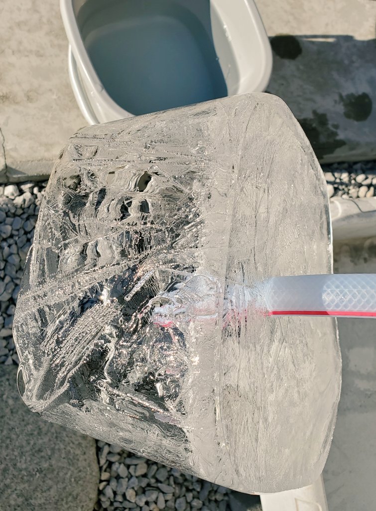 bordermarch's tweet image. うわぁ🐧寒い！