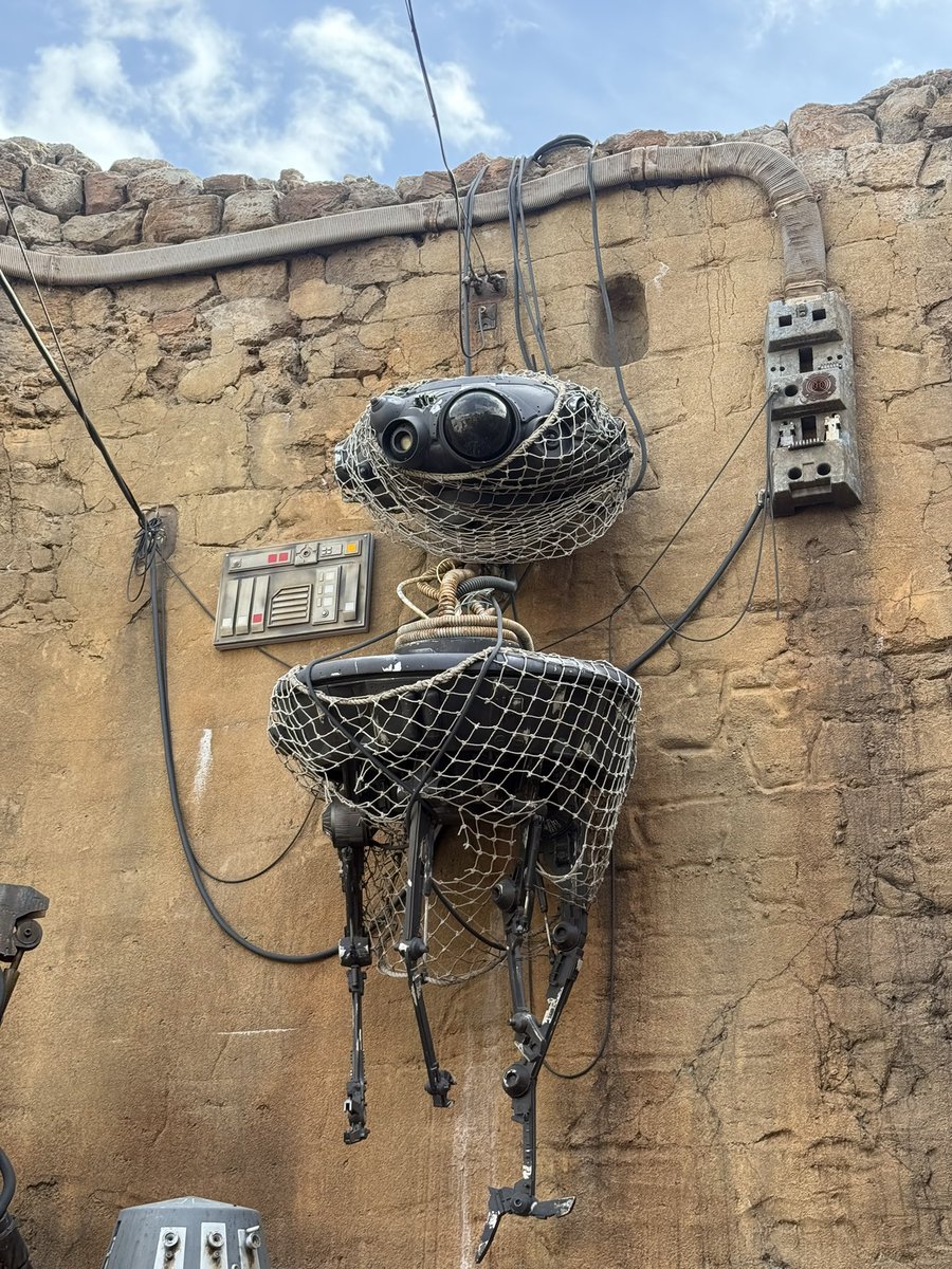 FairyoftheDead's tweet image. Coast to coast Batuus
#swge