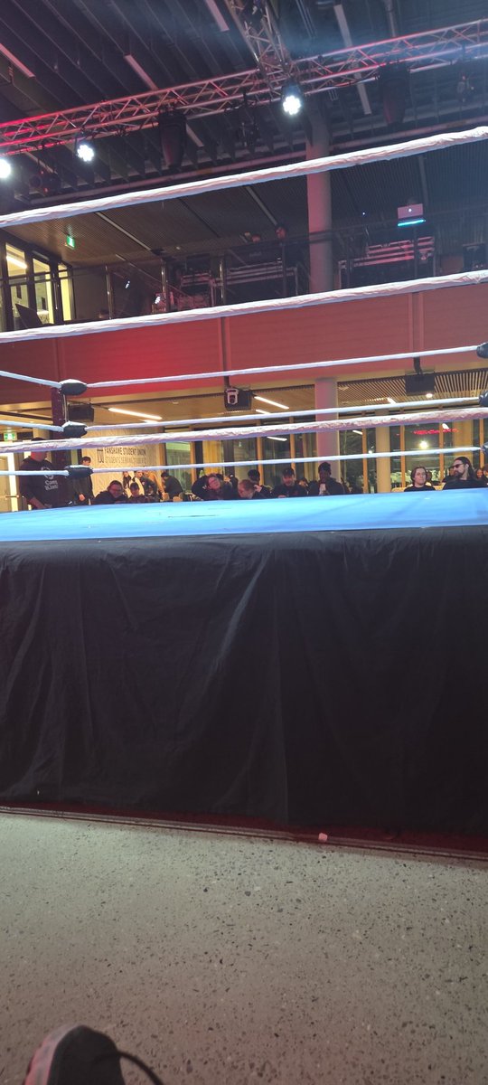 Joshua Maden tweet media