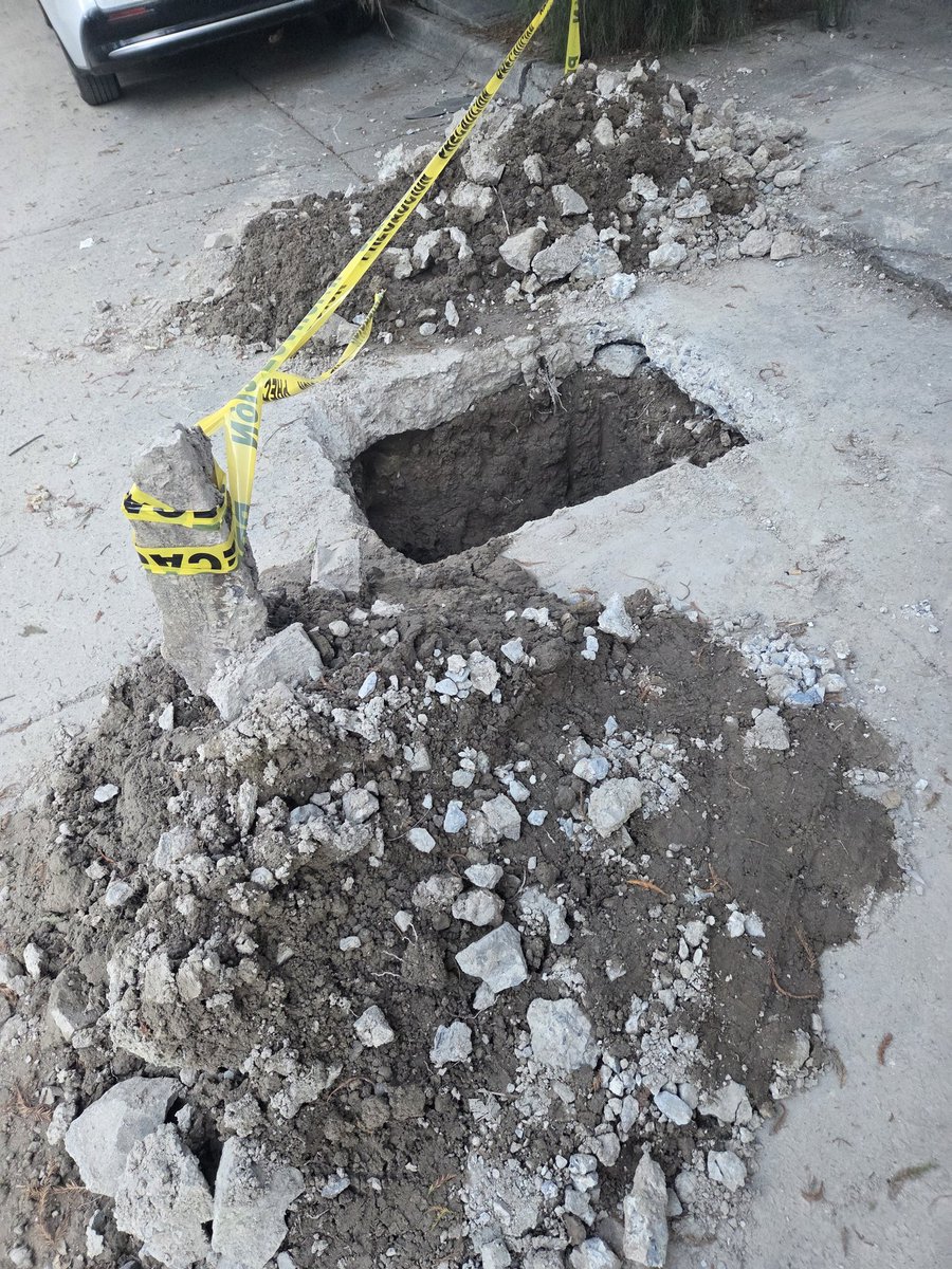 ColomosProvi tweet media