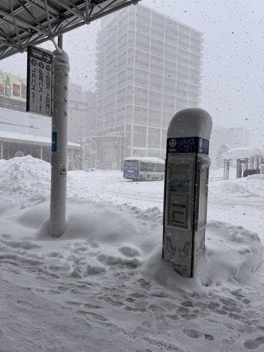 雪で死ぬかもしれない
