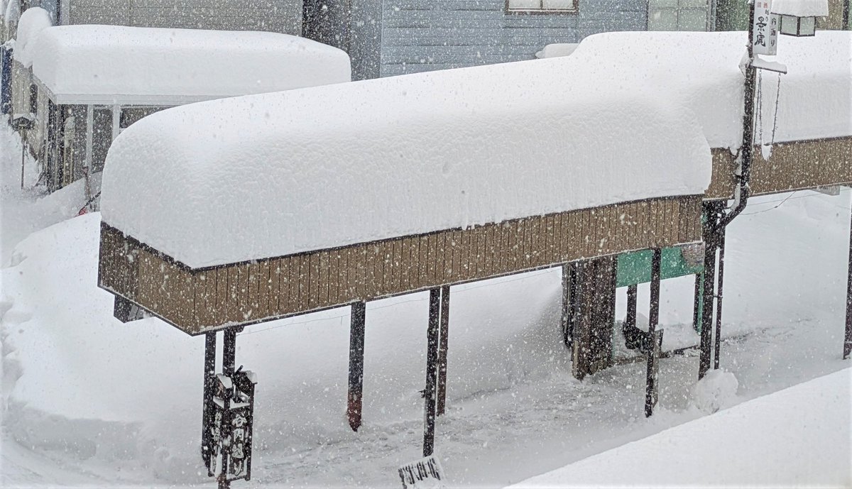 こんにちは！
今日の栃尾は雪、気温は－4度だよ

ゆ、雪がすごいよ～💦
夜のうちに30～40センチくらい積もったみたい😲

現在栃尾地域をふくめ、新潟県全域に大雪警報がでているよ☃
通勤・通学、お出かけの人は無理せず、帰れる人は早めに帰ろうね✨