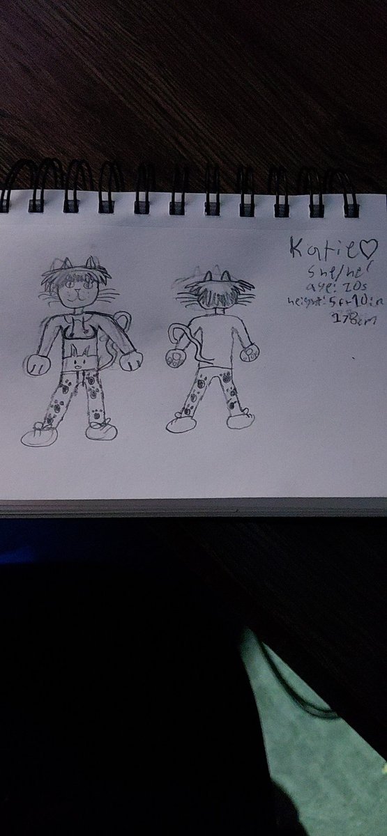 nonex_istent's tweet photo. Well I did it chat
I drew a ref sheet of my sona
It is based off the toblox character tho so like :P
But hey I at least drew it!
If you do want colors, look at the roblox character (currently in pinned)

But most importantly
How does it look? :3 https://t.co/TcwgEpAUlP