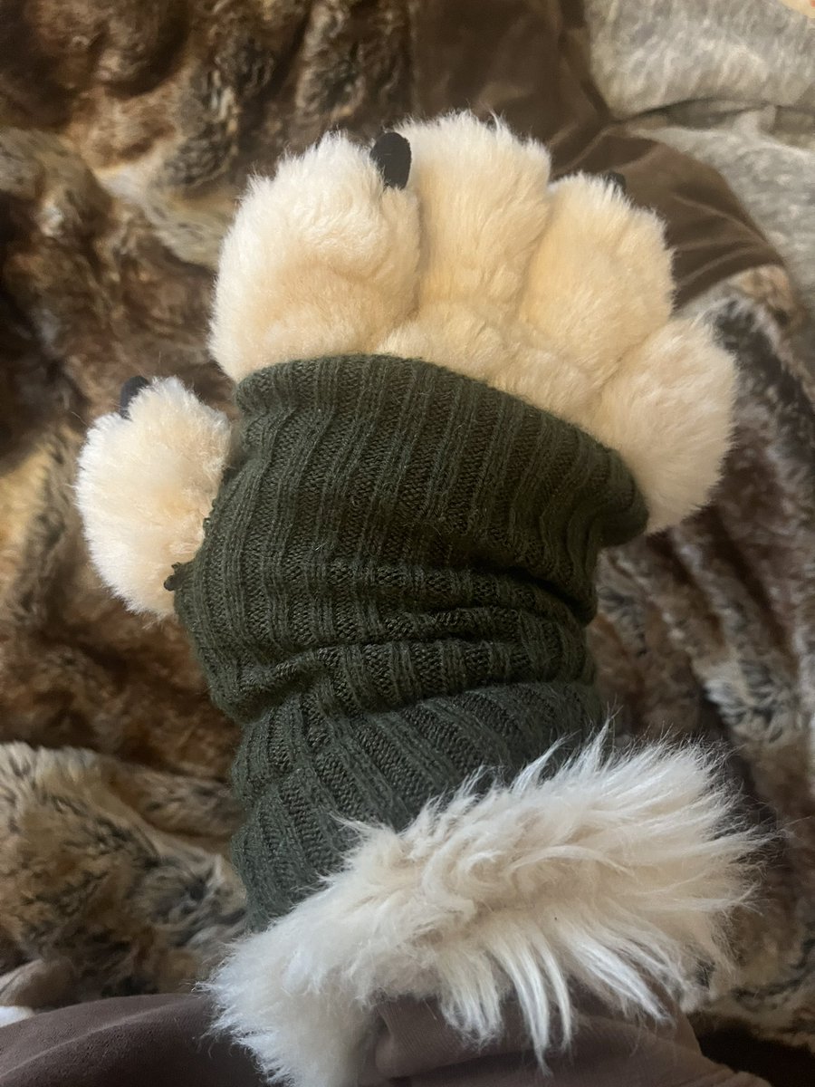Grubthebugdog's tweet image. Made paw warmers:3