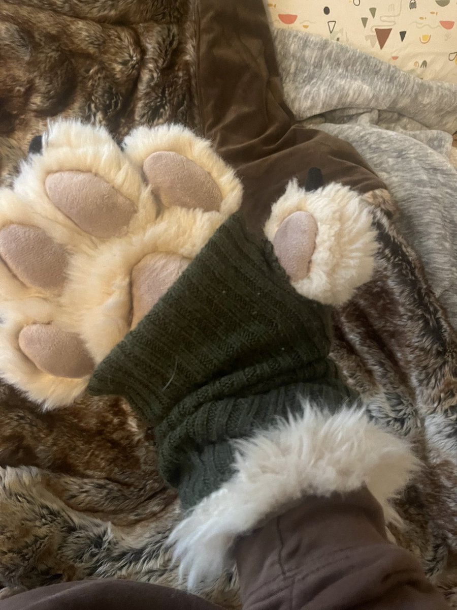 Grubthebugdog's tweet image. Made paw warmers:3