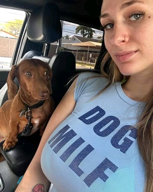 amber Dany🐾🐶 tweet media