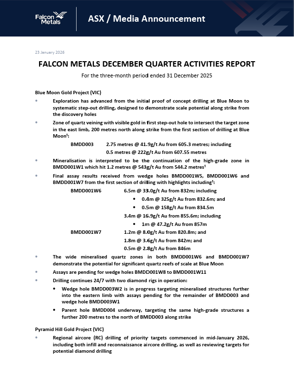 Falcon Metals Limited (ASX: FAL) tweet media