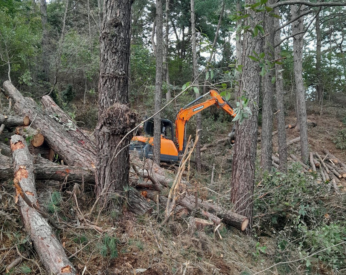 According to its direction, motion is mostly divided into four kinds: vertical, horizontal, slanting, and rotation. In those four ways, that's all done. The more you do, the easier it finishes.