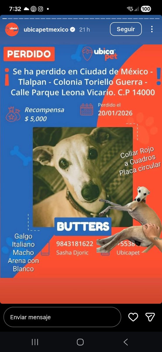 Marumar 🌺 tweet media