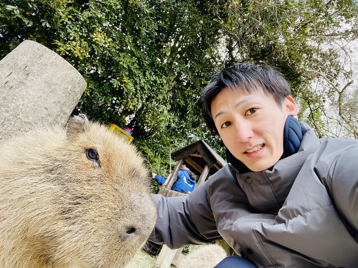 よし@HSS型HSP tweet media