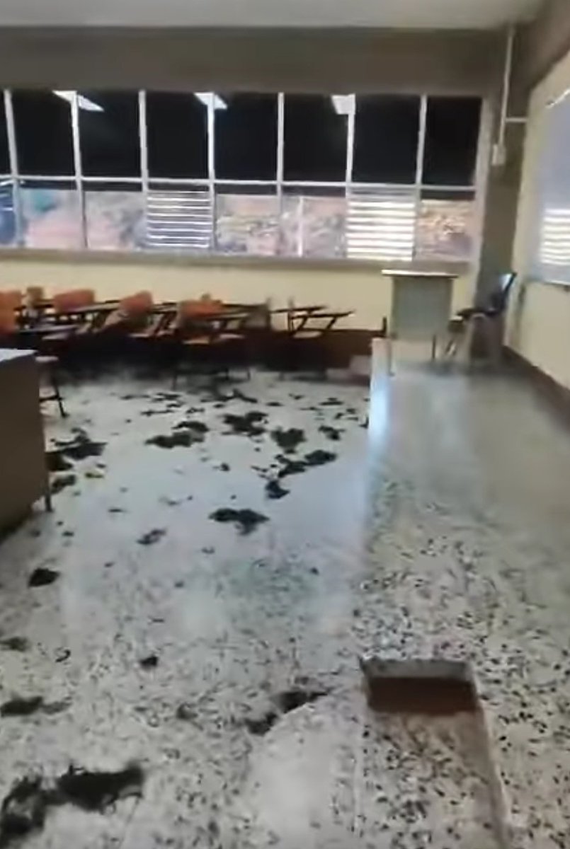 IsaSotoMayedo's tweet image. La violencia disfrazada de “tradición” solo insiste en cobrar víctimas. Los llamados “bautizos” no son rituales, son abuso, humillación y una falla ética institucional en la #USAC.
Para colmo, esta vez hay dos compañeras desaparecidas. 
Nada, absolutamente nada, lo justifica.