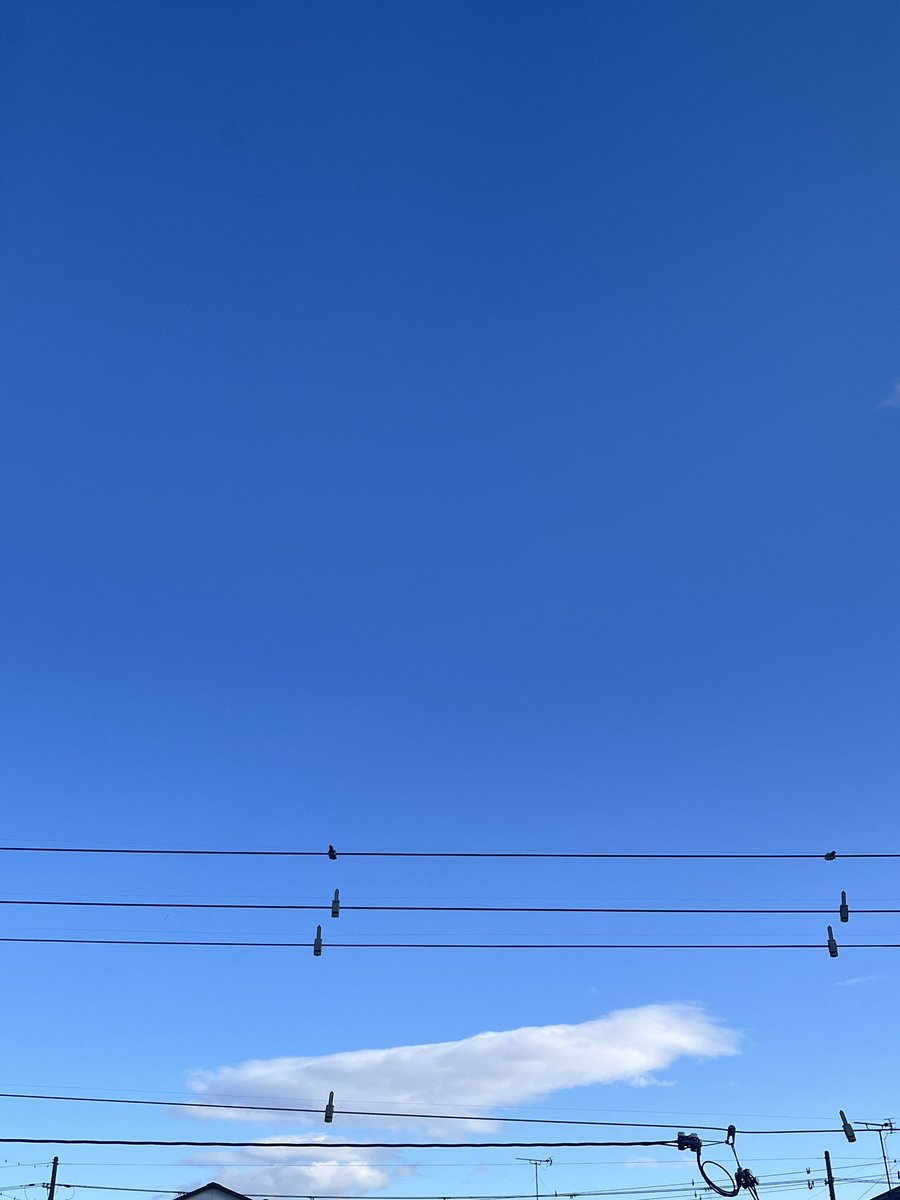 おはようございます☀️
滋賀県南部の天気は晴れ☀️

いつも撮ってる空の方向だと晴れてても曇りに見えるので、方向を変えてみた📷

#企業公式が地元の天気を言い合う 
#企業公式相互フォロー 
#企業公式さんと繋がりたい