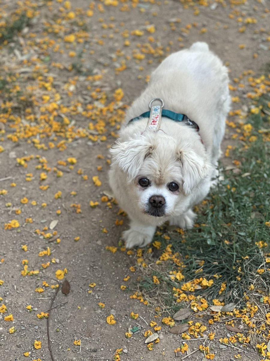 Лера tweet media