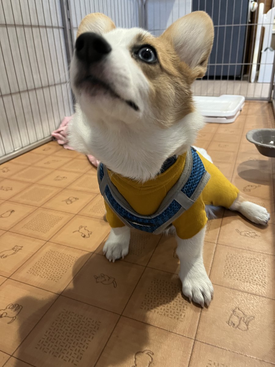 luuke0909's tweet image. 