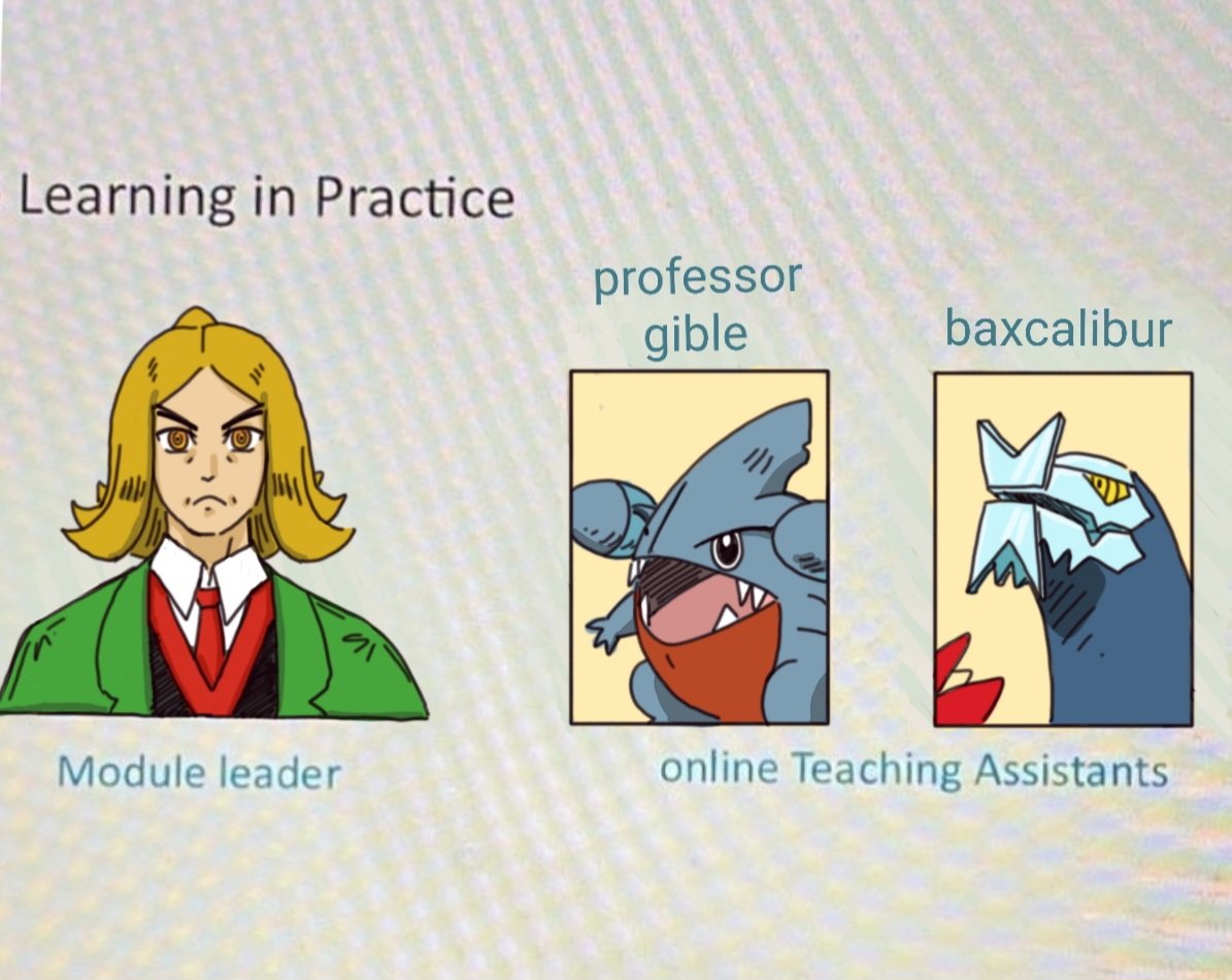 Lotusgirl625's tweet image. 🍊 &amp;amp; his best assistants 🫴