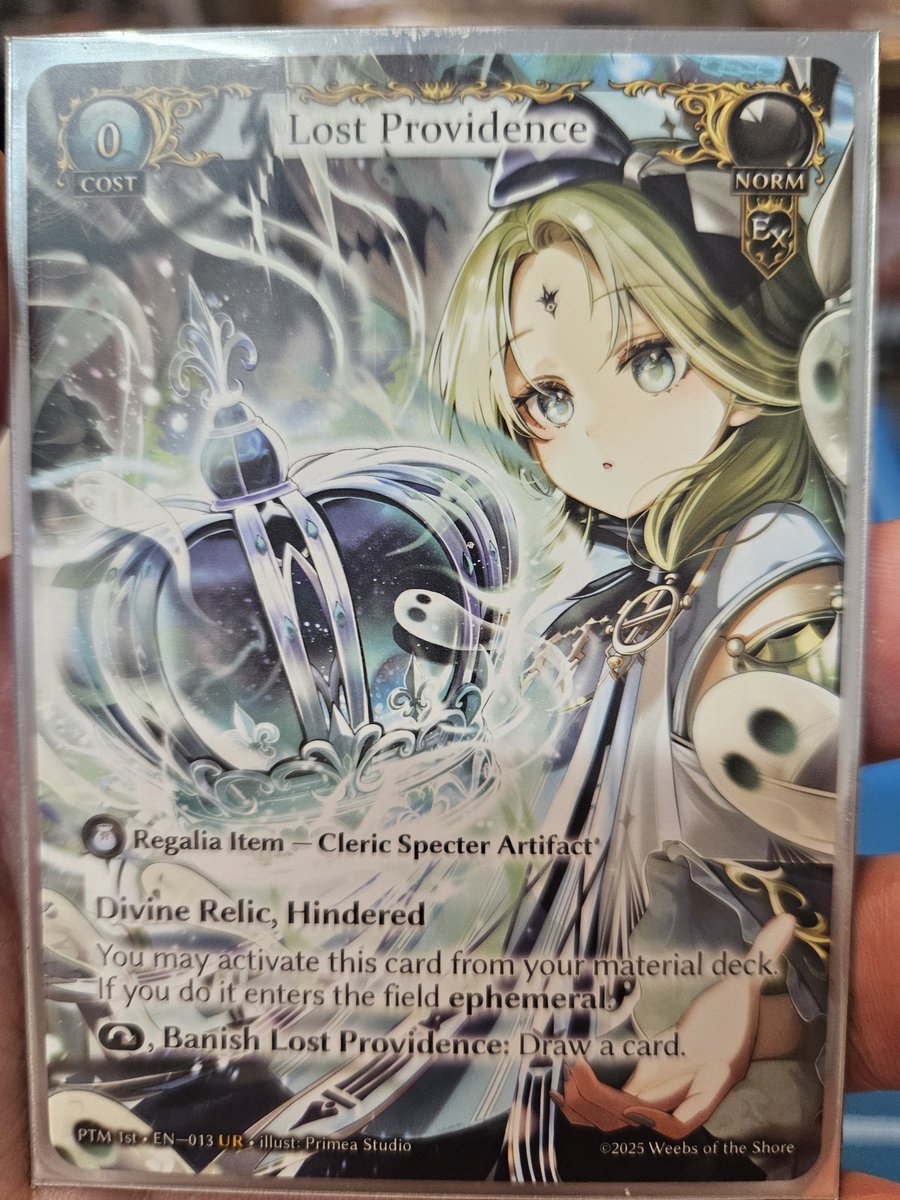 今日限定1枚販売中です 30000円 数少ない大人気カード lost providence