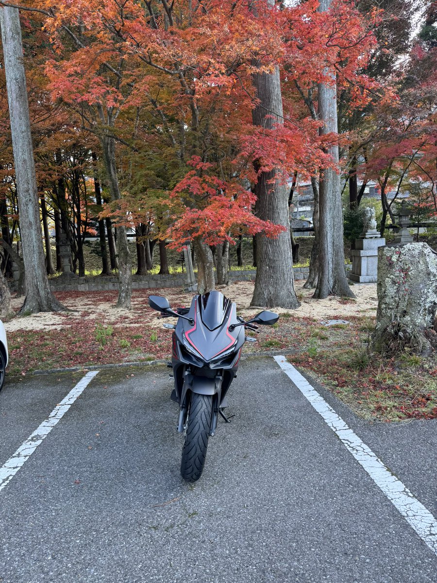 中年の月 tweet media