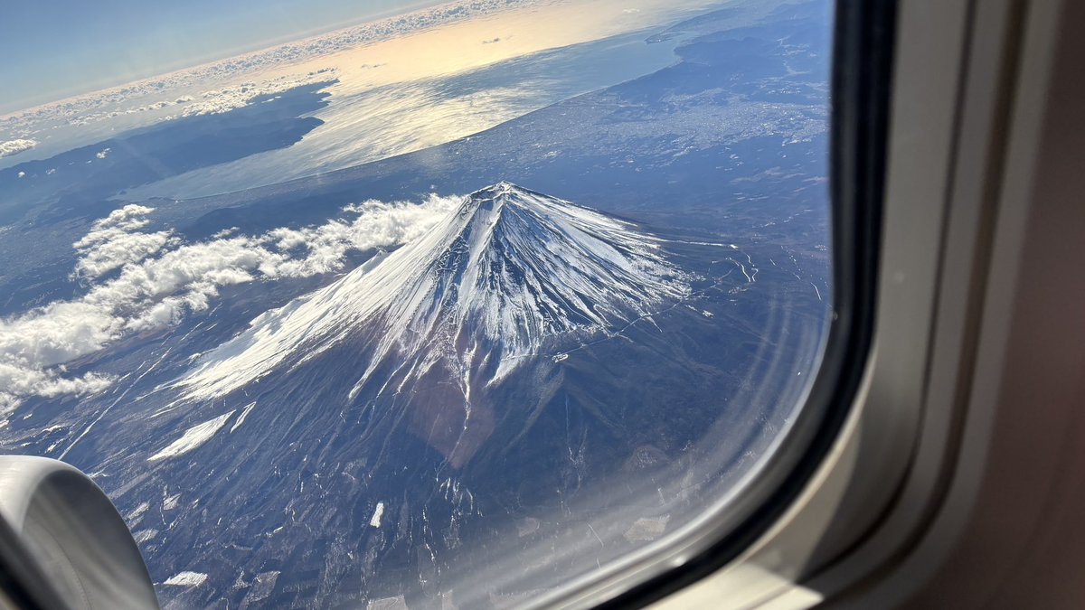 今日から馬肉しか食べない