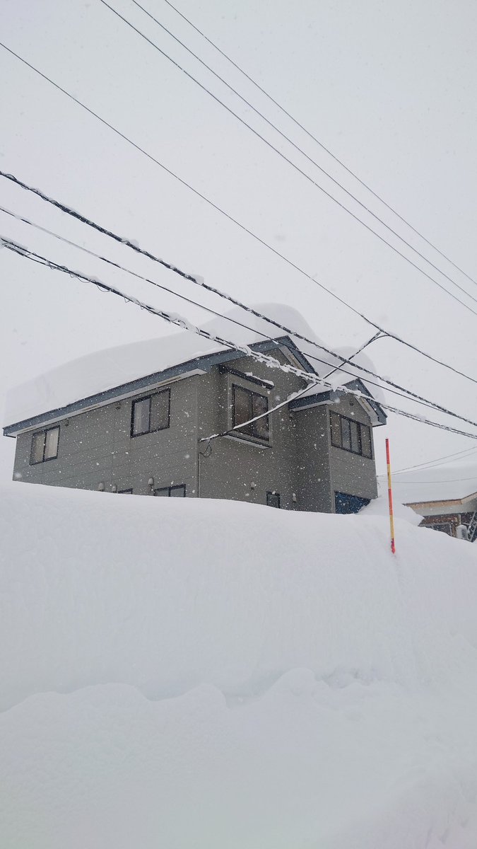 盛り上がってまいりました！
平年並みです！