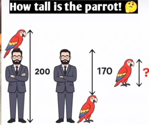 Exerçons le cerveau