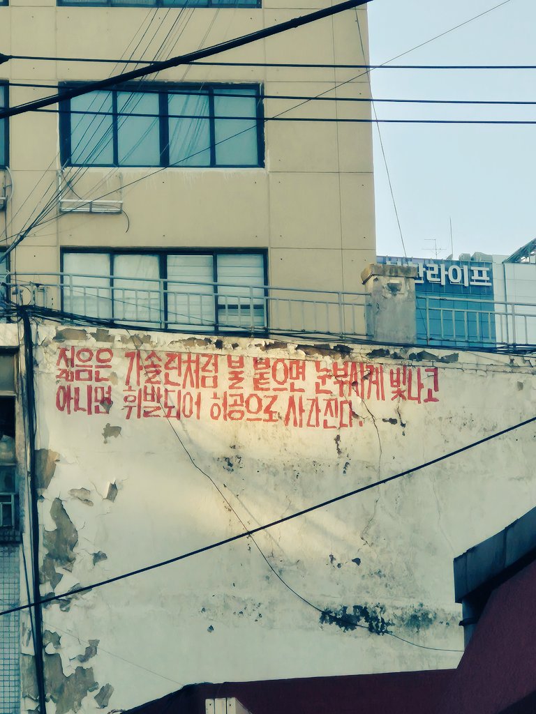 junojuno1560's tweet image. Romanticism boy