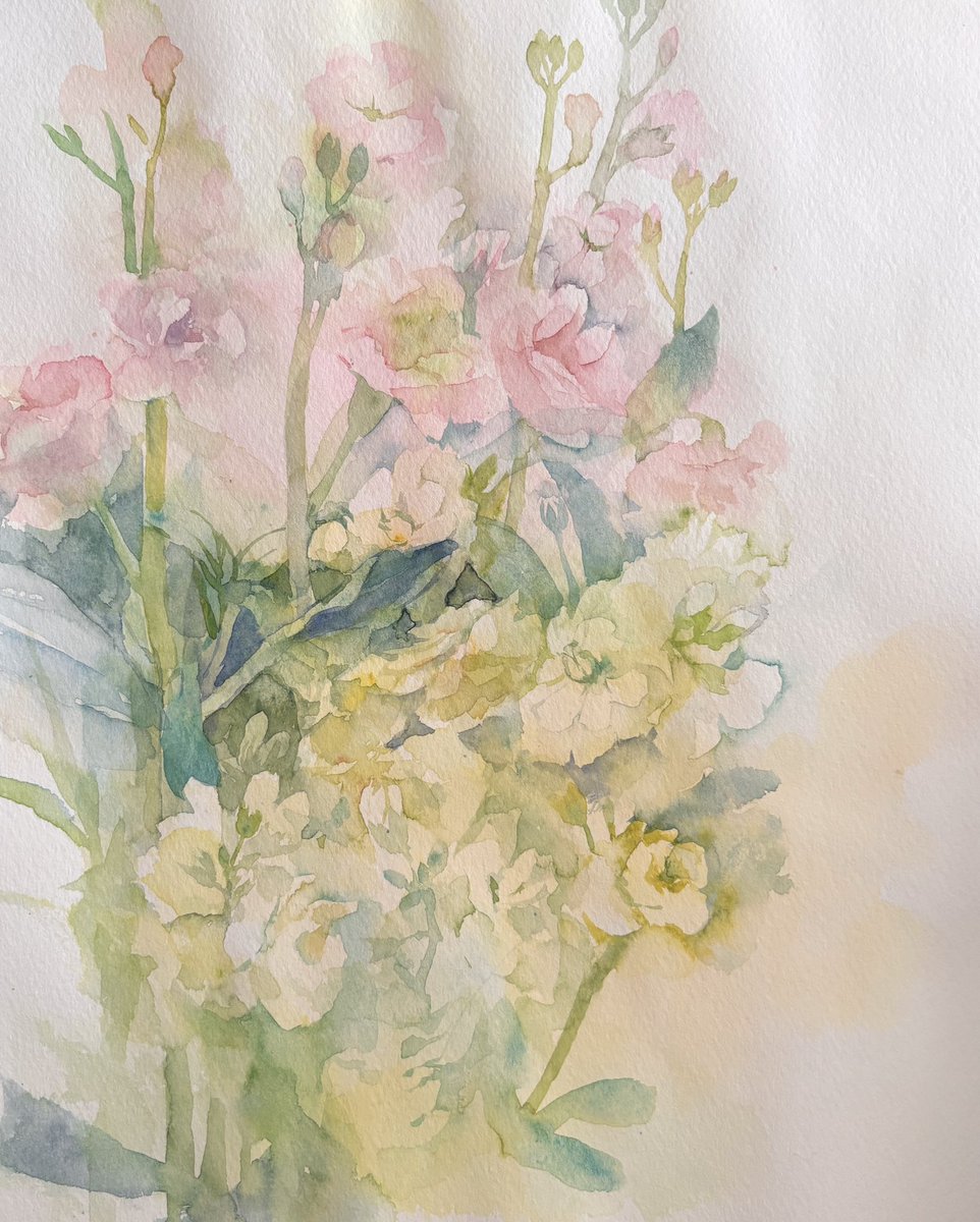 anmitsucat 水彩画展@松屋銀座2026/4/1〜7個展開催 (@anmitsu411cat