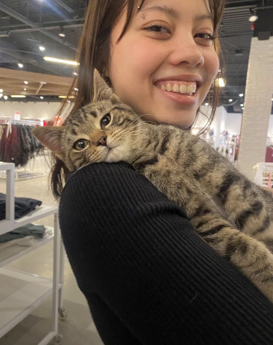 catshouldnt's tweet image. 