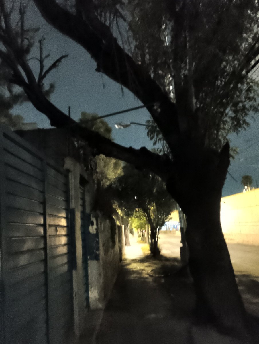 Para repartir volantes de un año de <a href="/ALEIDAALAVEZ/">Aleida Alavez Ruiz</a> están en chinga y para componer una luminaria más de 6 meses <a href="/locatel_mx/">@locatel_mx</a>