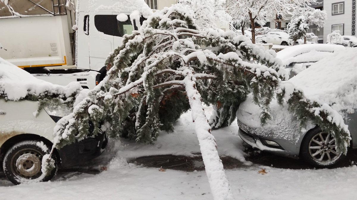 📍Karaköprü İlçesi ❄️

Park ve Bahçeler Dairesi  Başkanlığına bağlı ekiplerimiz;👷🚧👷

Yoğun kar yağışı nedeniyle zarar gören ağaçların, temizleme ve enkaz kaldırma çalışmalarını hız kesmeden  sürdürmektedir.🌲

<a href="/sanliurfabld/">Şanlıurfa Büyükşehir 🇹🇷</a> 
<a href="/halilaldeniz_/">Halil Aldeniz</a> 
<a href="/Tuba_Yaygin/">Tuba Yaygın</a>