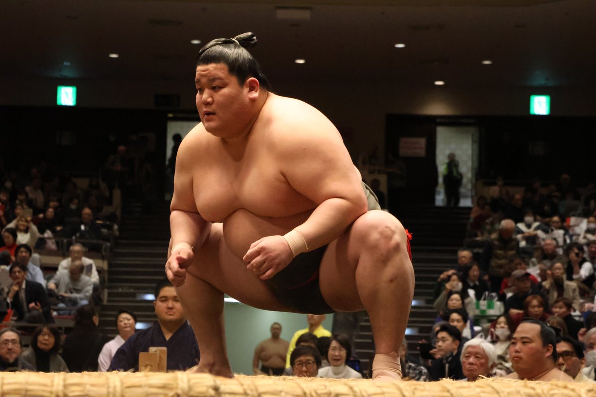 日本相撲協会公式 tweet media