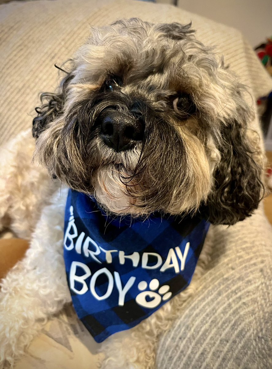 Malcolm & Baby Dog tweet media