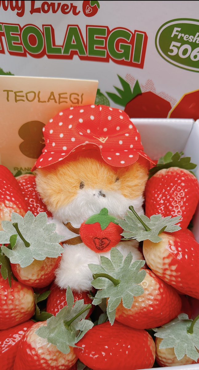 candybaek506's tweet image. 백현아 터래기 딸기네 '.ㅅ'🍓