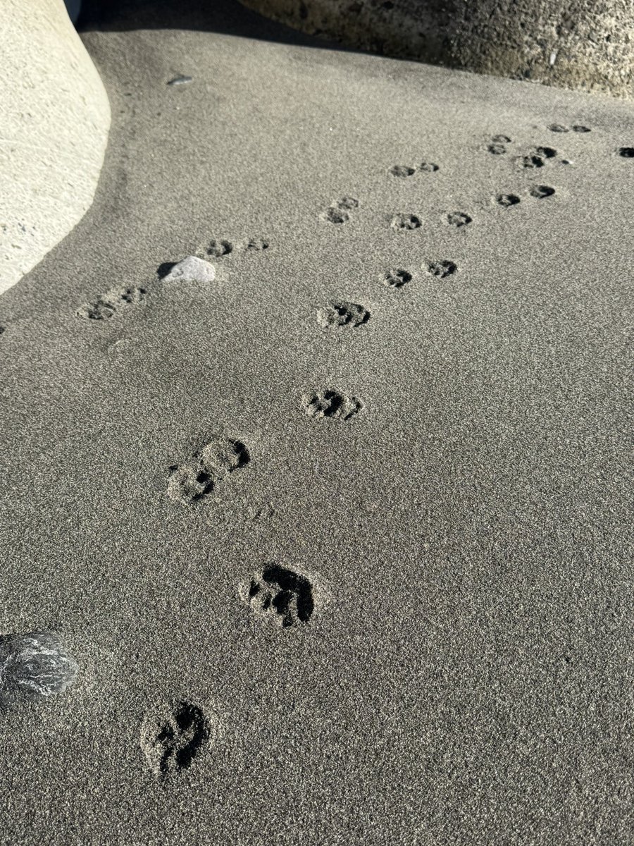 ここはいつもwelcomeでいてくれる🌊