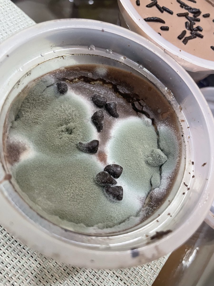 Bolo Namastey tweet media