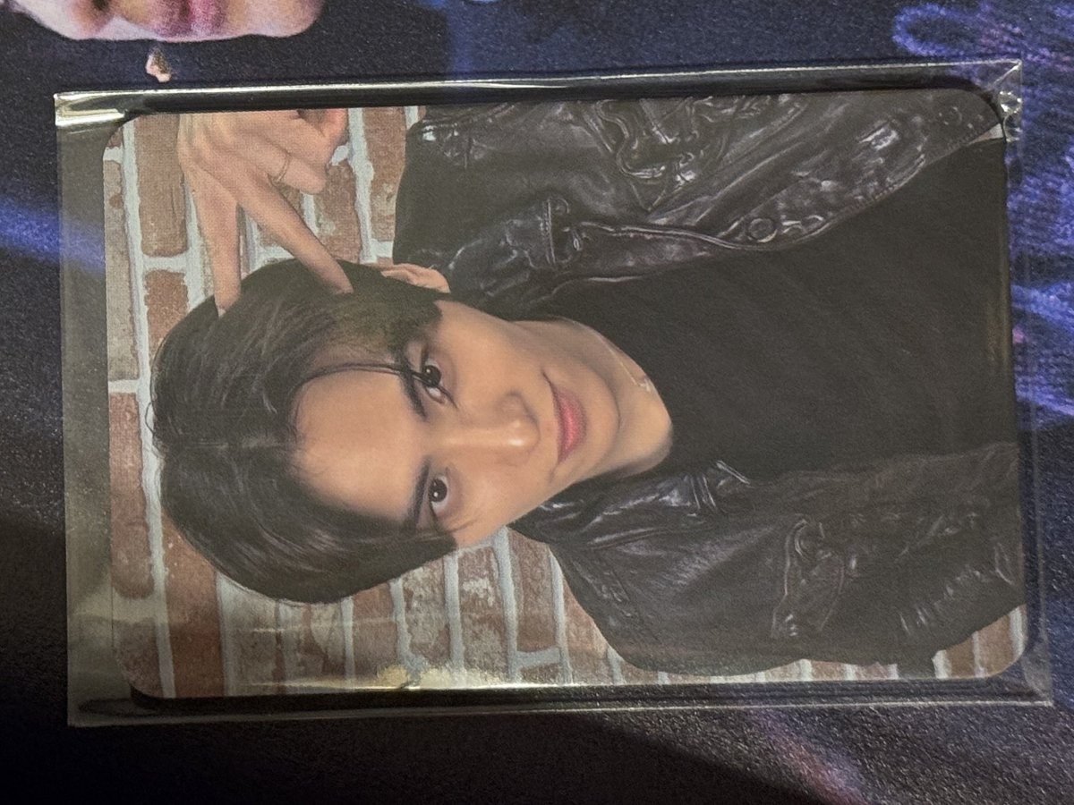 로저는 냐옹귀를 참 좋아하네 🐈‍⬛🖤🖤